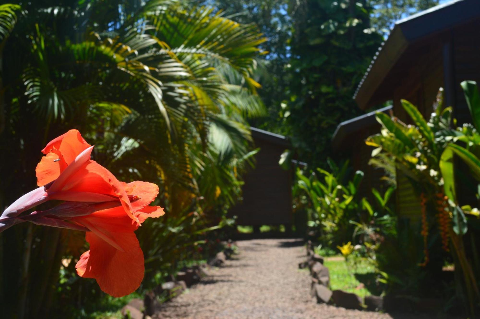 Terra Lodge Puerto Iguazú Eksteriør billede