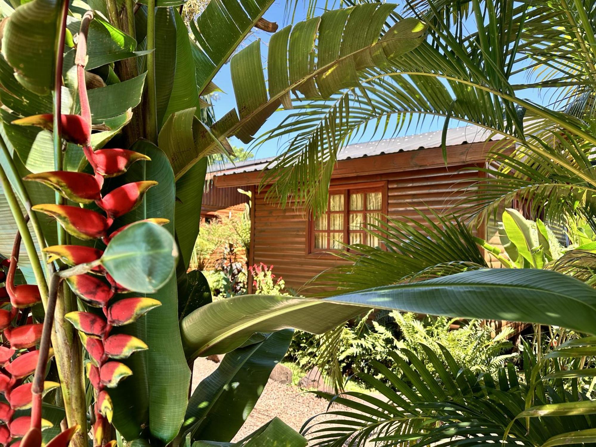 Terra Lodge Puerto Iguazú Eksteriør billede